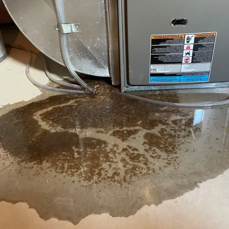 Pipe Burst and Leak Restoration in Sequatchie County, TN