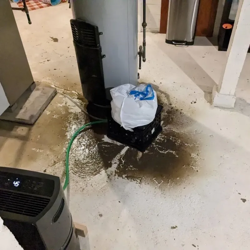 Sewage Backup Cleanup Service in Sequatchie County, TN